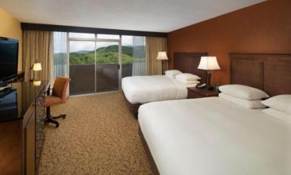 The Park Vista - A DoubleTree by Hilton Hotel - Gatlinburg - image 6