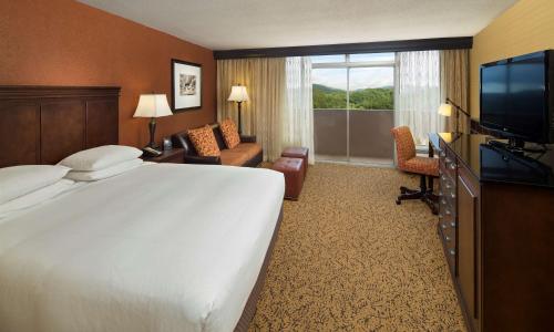 The Park Vista - A DoubleTree by Hilton Hotel - Gatlinburg - image 7
