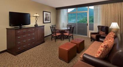 The Park Vista - A DoubleTree by Hilton Hotel - Gatlinburg - image 9