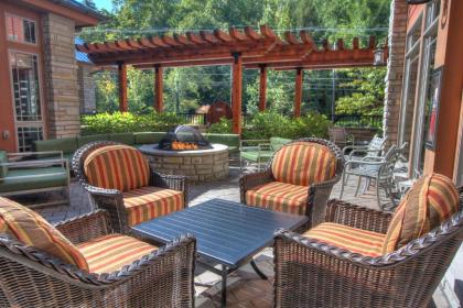 Hilton Garden Inn Gatlinburg - image 2