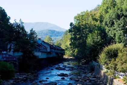 Rocky Waters Motor Inn - image 2