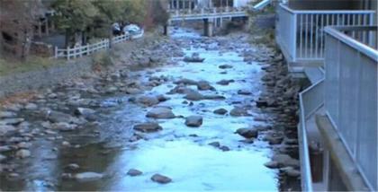Rocky Waters Motor Inn - image 4