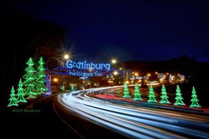 Mountain Glory Holiday home - image 4