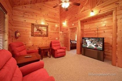Bear Cub Lodge Holiday home - image 3