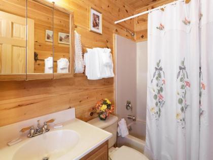 Alpine Ski Lodge 2 Bedrooms Sleeps 6 Near Ober Gatlinburg Hot Tub - image 4