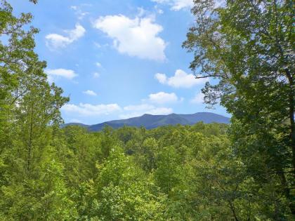 Dew South 2 Bedrooms Sleeps 8 Views Arcade Hot Tub Pet Friendly - image 4