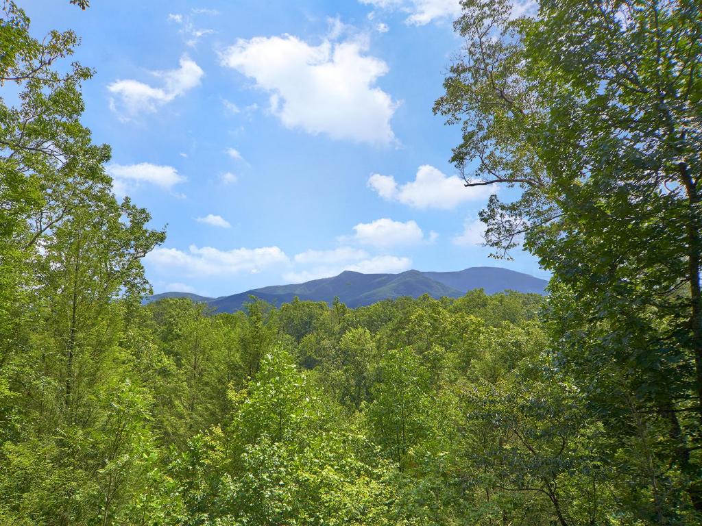 Dew South 2 Bedrooms Sleeps 8 Views Arcade Hot Tub Pet Friendly - image 4