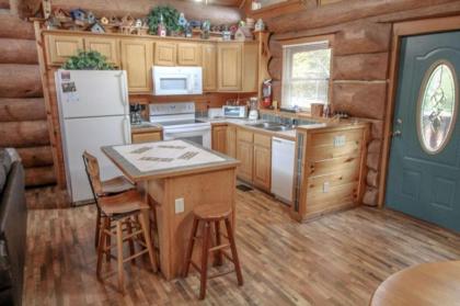 277 Birds Eye View Cabin - image 4