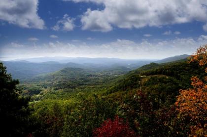 Above Ole Smoky’s Clouds 1 Bedroom Hot Tub WiFI Pets Sleeps 4 - image 3