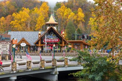 Above Ole Smoky’s Clouds 1 Bedroom Hot Tub WiFI Pets Sleeps 4 - image 4