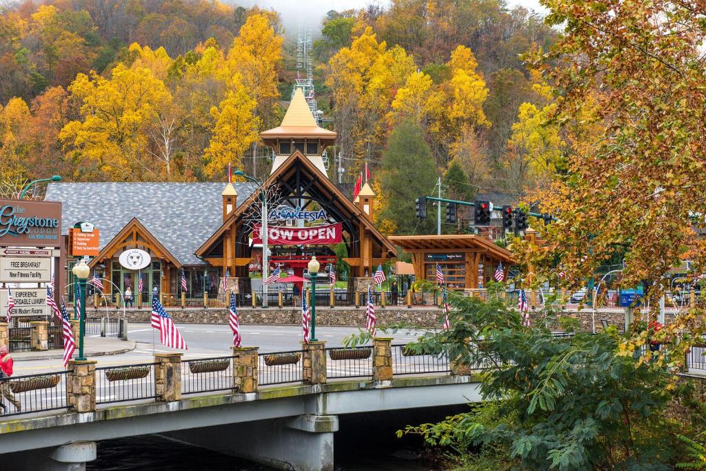 Above Ole Smoky’s Clouds 1 Bedroom Hot Tub WiFI Pets Sleeps 4 - image 4