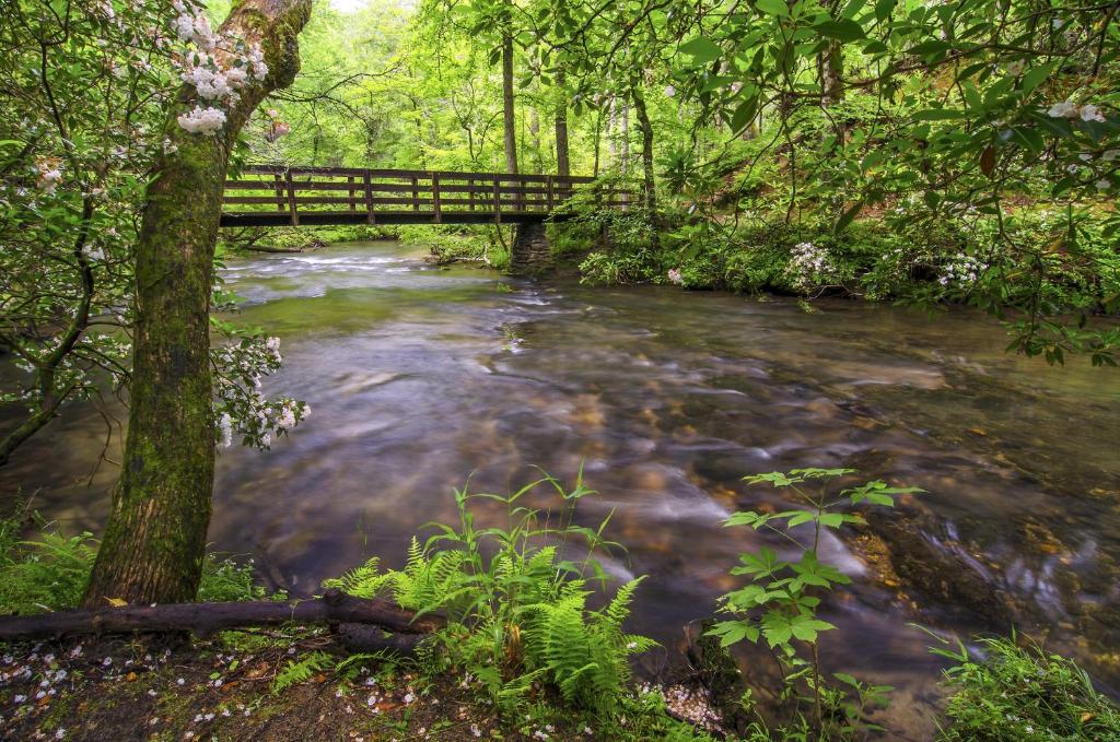 Above Ole Smoky’s Clouds 1 Bedroom Hot Tub WiFI Pets Sleeps 4 - image 5