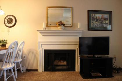 Gatlinburg Chateau Condo 503