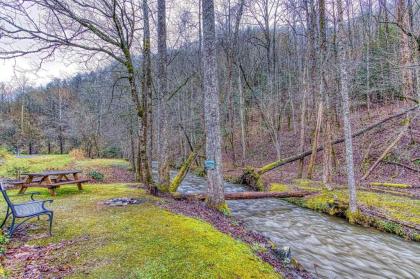 Black Bear Falls Tennessee