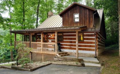 Parkside Party #1676 by Aunt Bug's Cabin Rentals
