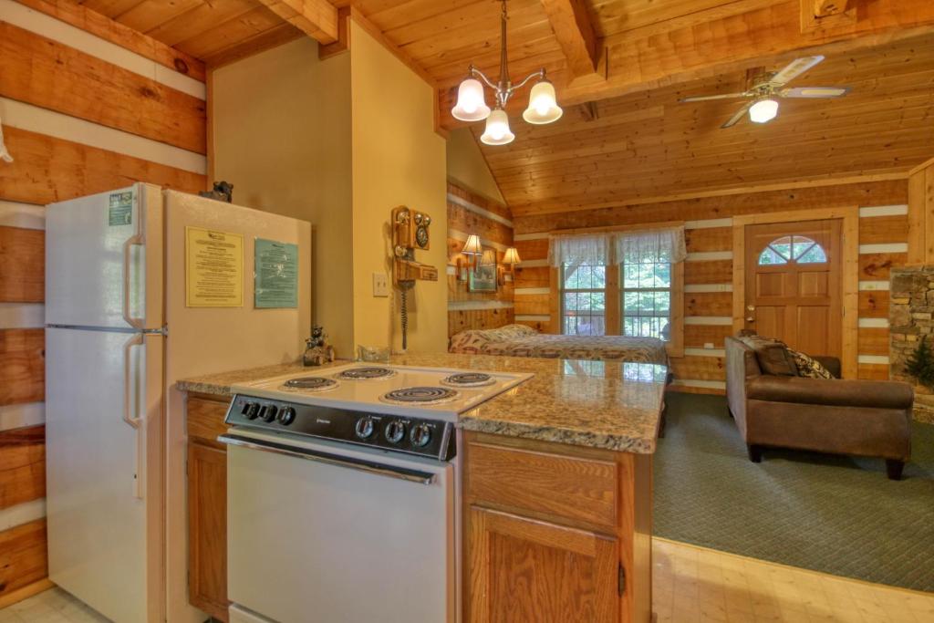 Cuddle Inn #1529 by Aunt Bug's Cabin Rentals - image 3