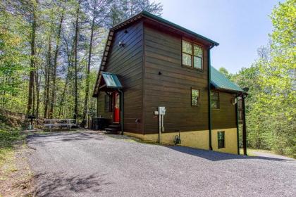 Always Misbehavin #1412 by Aunt Bug's Cabin Rentals - image 1