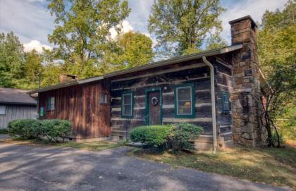 Bear Cabin #462 by Aunt Bug's Cabin Rentals