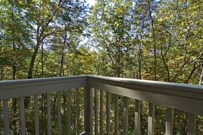 Smoky Mountain Dream - image 12