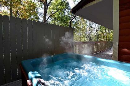 Smoky Mountain Dream - image 13