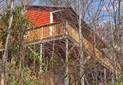 Smoky Mountain Dream - image 16