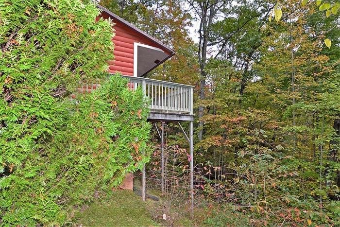 Smoky Mountain Dream - image 6