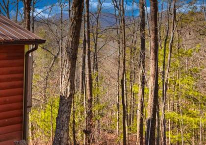 Mountain Memories - image 13