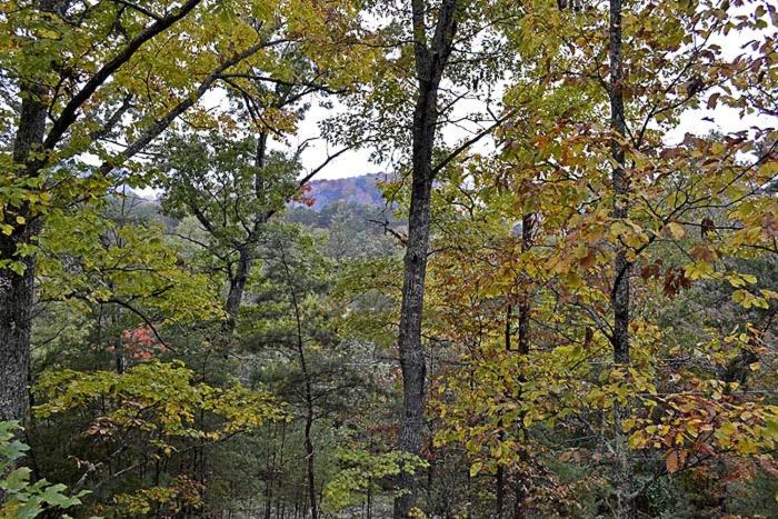 Mountain Magic - image 2