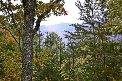 Mountain Magic - image 3