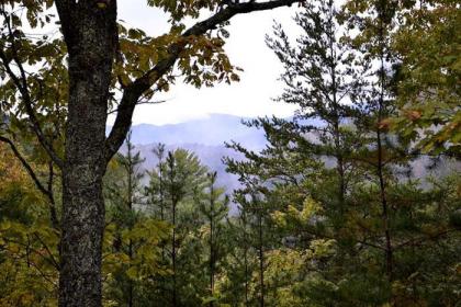 Mountain Magic - image 5
