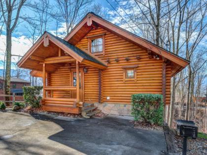 Hibernation Station 2 BR Pool Access Hot Tub Fireplace Sleeps 4 - image 2