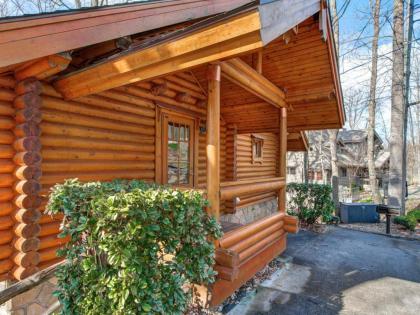 Hibernation Station 2 BR Pool Access Hot Tub Fireplace Sleeps 4 - image 3