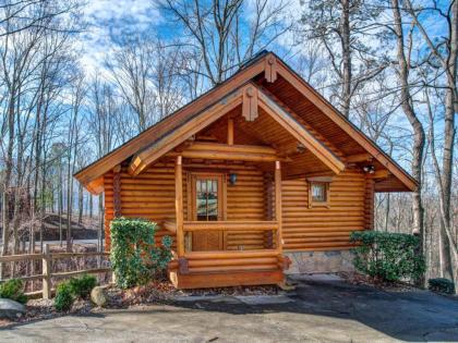 Hibernation Station 2 BR Pool Access Hot Tub Fireplace Sleeps 4 - image 4