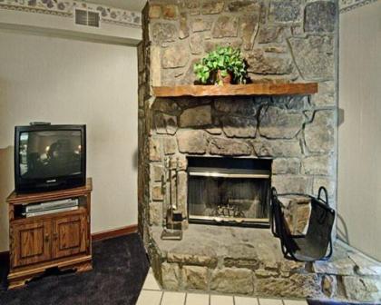 Secluded Family Condo in the Beauty of the Smokies - One Bedroom #1 - image 2