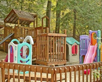Secluded Family Condo in the Beauty of the Smokies - One Bedroom #1 - image 3
