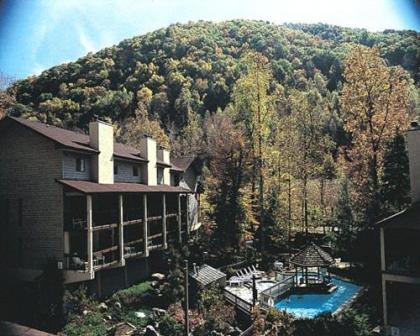 Secluded Family Condo in the Beauty of the Smokies - Two Bedroom #1 - image 1