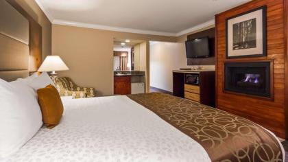 Best Western Plus Forest Park Inn - image 13