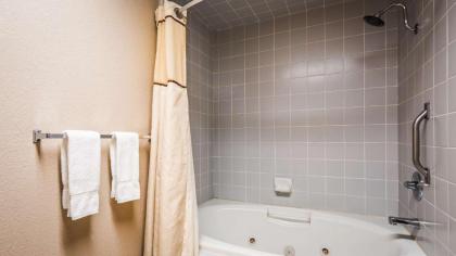 Best Western Plus Forest Park Inn - image 14