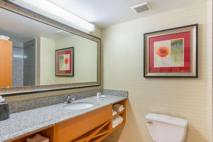Comfort Suites at Virginia Center Commons - image 2