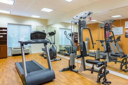 Comfort Suites at Virginia Center Commons - image 3