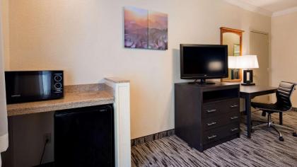 Best Western Dinosaur Valley Inn & Suites - image 5