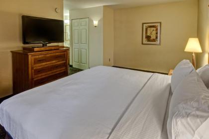 Staybridge Suites Denver - Cherry Creek an IHG Hotel - image 6