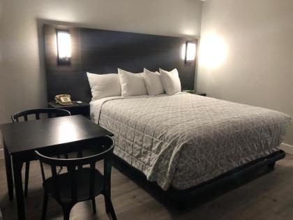 Motel Sakura - image 8