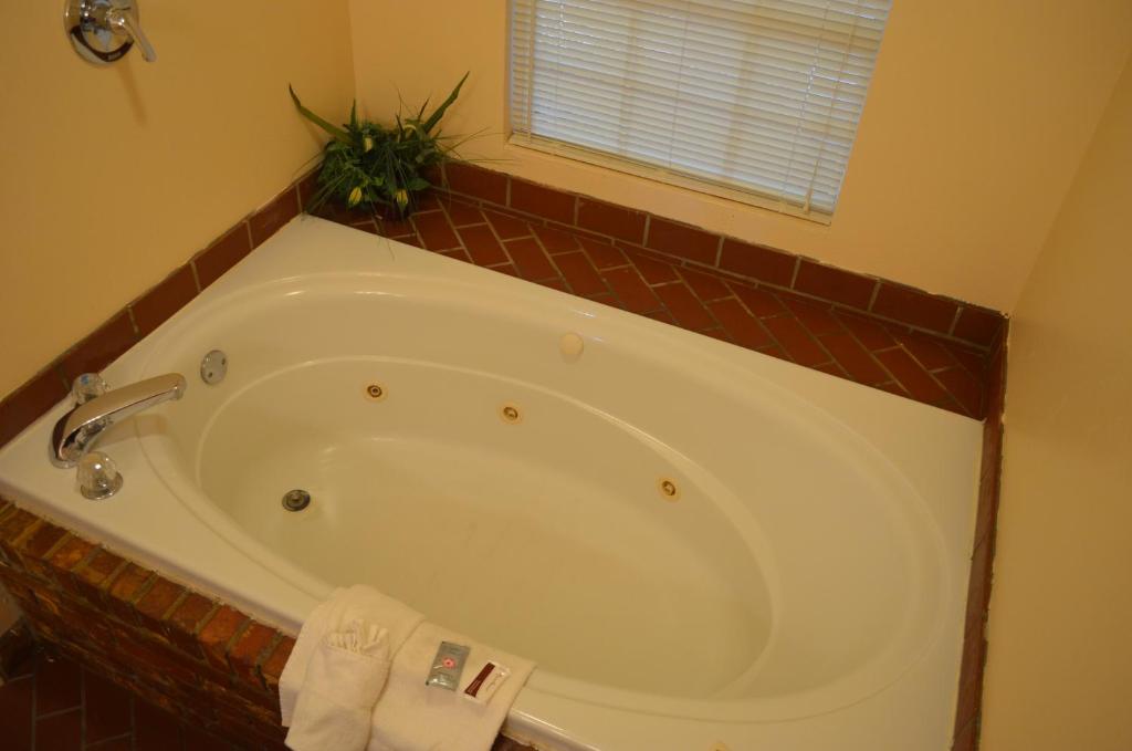 Ouachita Mountain Inn - image 7