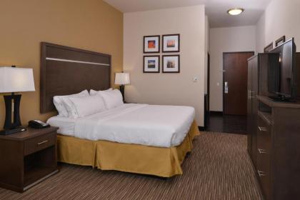 Holiday Inn Express & Suites Globe an IHG Hotel - image 13