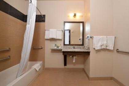 Holiday Inn Express & Suites Globe an IHG Hotel - image 3