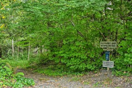 Gold Beach Apt with Activites - 2 Mi to Ocean - image 8