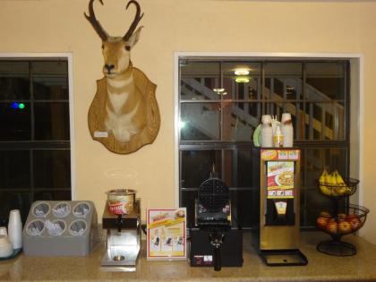 Antlers Inn Goliad - image 14
