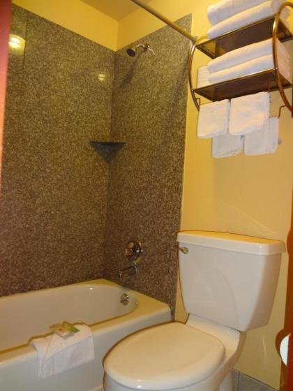 Antlers Inn Goliad - image 3