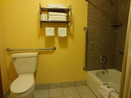 Antlers Inn Goliad - image 7